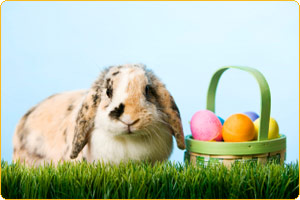 Easter Egg Hunt Ideas
