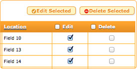 Multi-edit upgrade