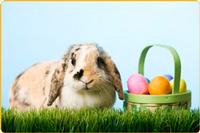 Helpful Hints for Coordinating an Egg-ceptional Easter Egg Hunt