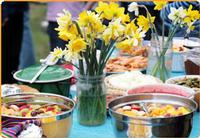 Potluck Tips: Planning the Perfect Group Meal
