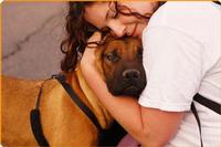 SignUpGenius to the Rescue… Animal Rescue, that is!