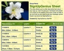 Easter Lily sign up sheet