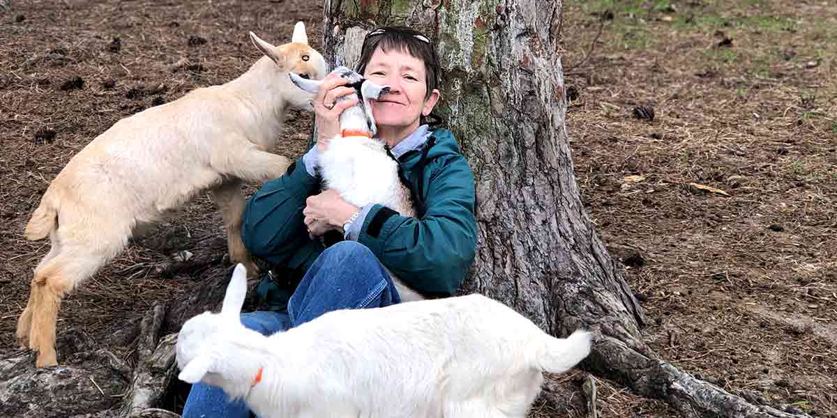 Person cuddling goats