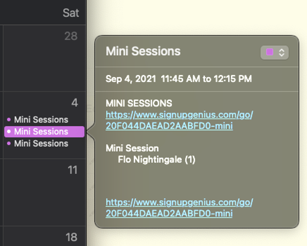screenshot of online apple calendar showing mini session event