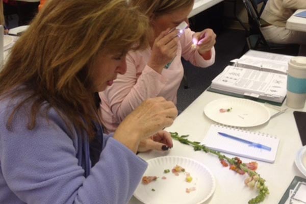 Massachusetts master gardeners volunteers classes gardening workshops