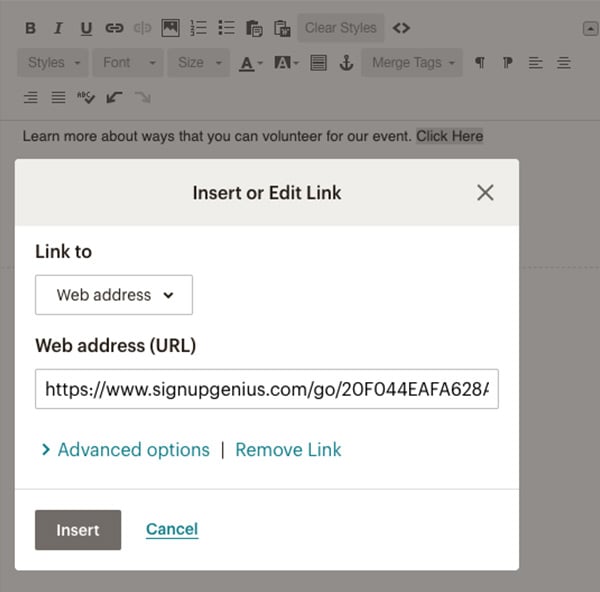 third party email newsletter tool with text hyperlink option
