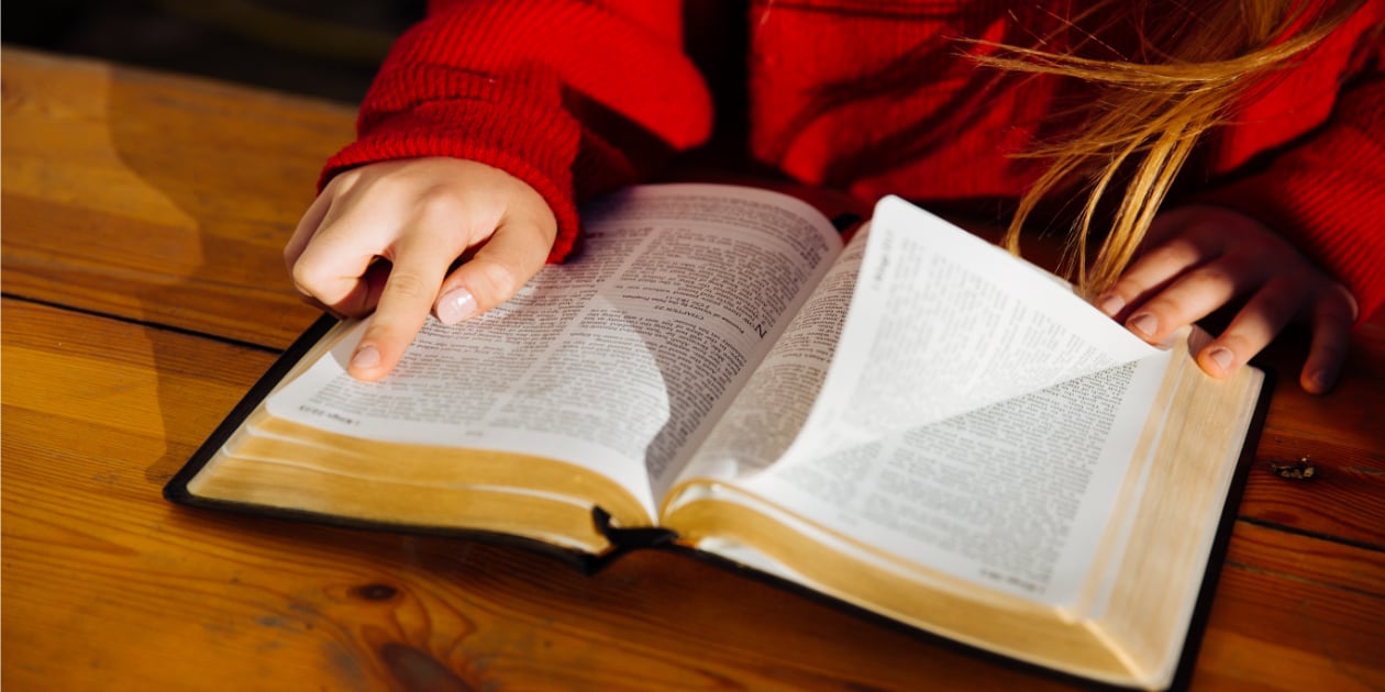 photo of person's hands looking at a verse in the bible