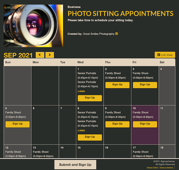 screenshot of photo sitting appointment sign up
