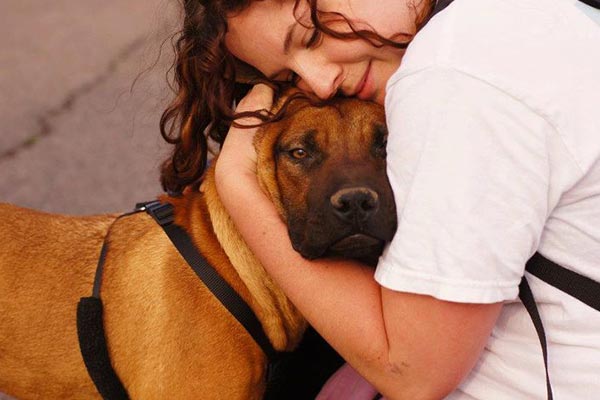 SignUpGenius to the Rescue… Animal Rescue, that is! SignUpGenius to the Rescue… Animal Rescue, that is!