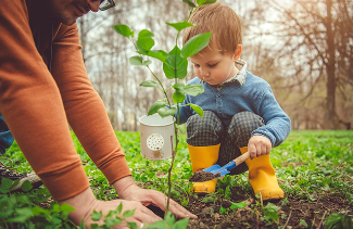 Orchard Planting with Giving Grove