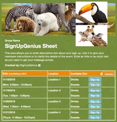 zoo animals polar bear lion safari giraffe elephant sign up form