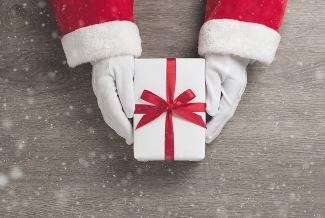 Santa Store Volunteer