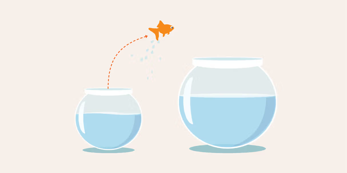 fish-jumping-bigger-bowl
