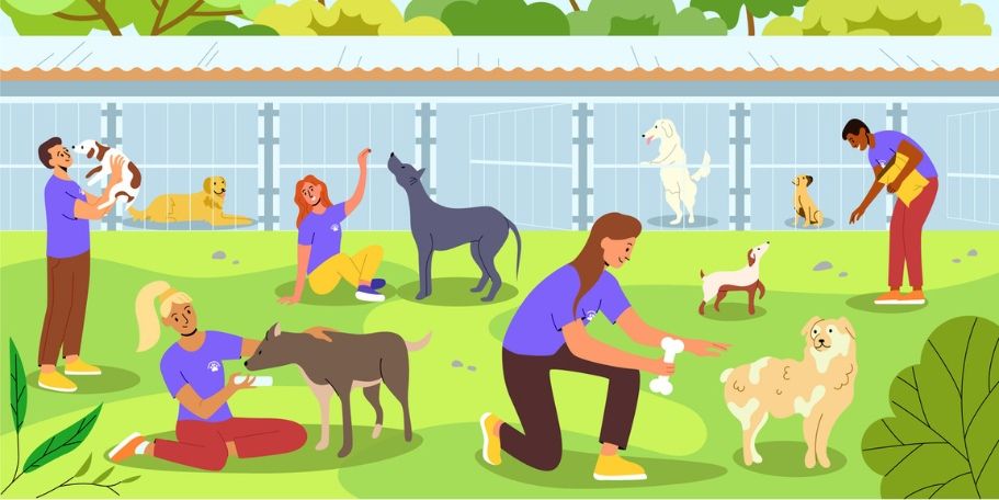 people playing with dogs