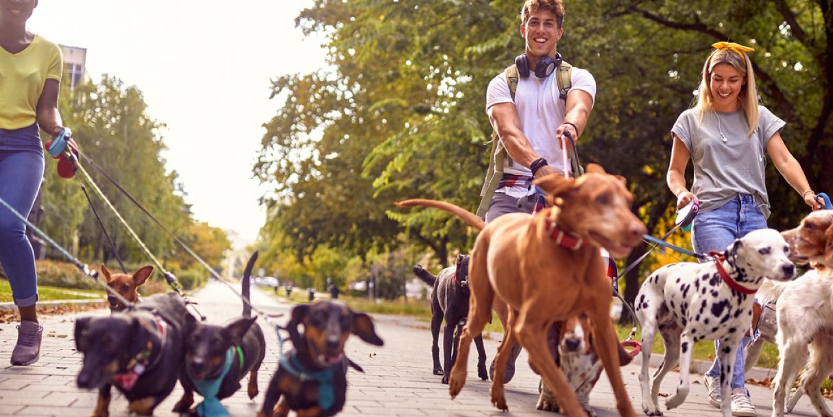 20 creative fundraising ideas for pets and animal shelters